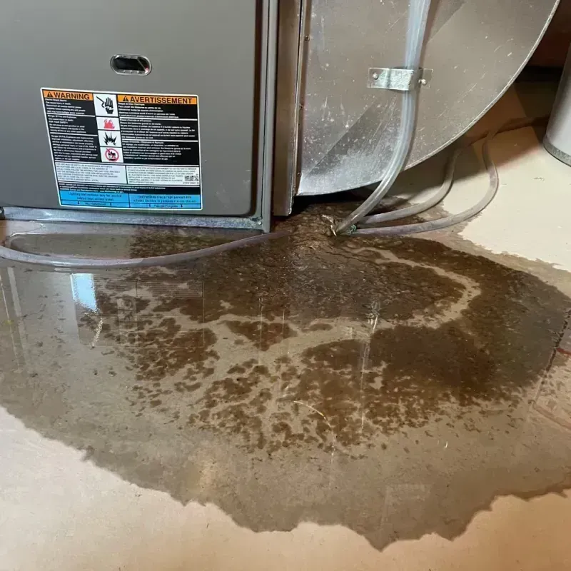 Appliance Leak Cleanup in Spalding County, GA